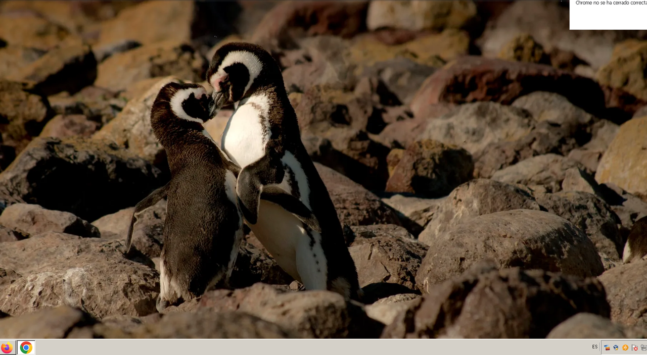 Animales que tienen menos suerte en el amor que tú
