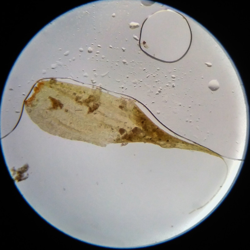 IMG 20250617 111621 HDR