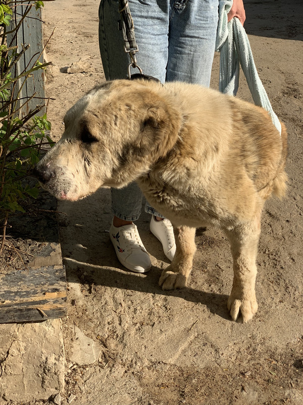 93B70532-908D-4BBB-9C46-791FFBA6A3FE