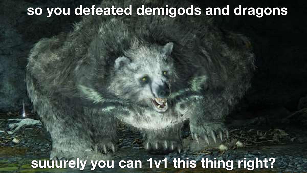 a0w4w62263o81.jpg