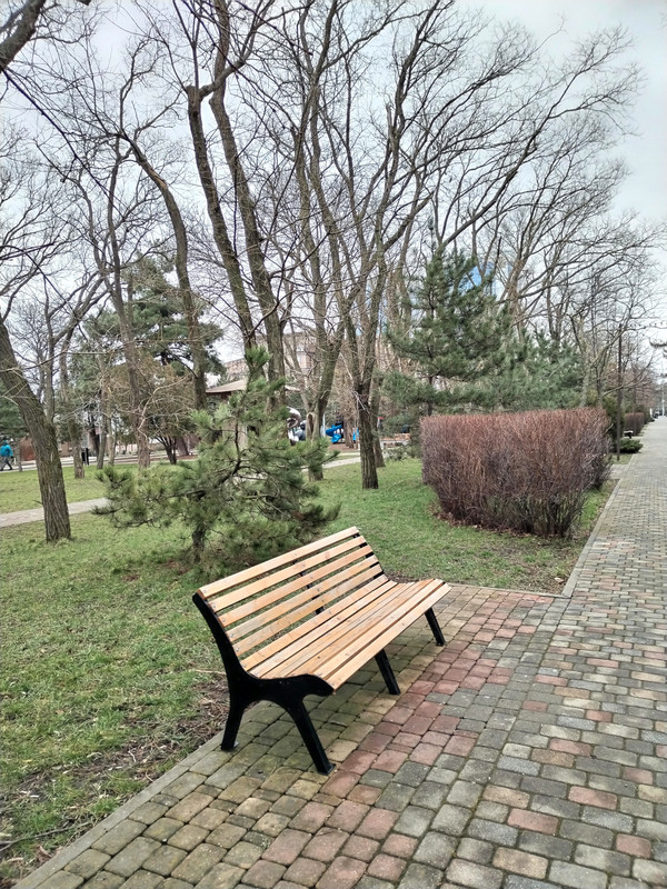 IMG_20240204_142729_edit_266098202417970