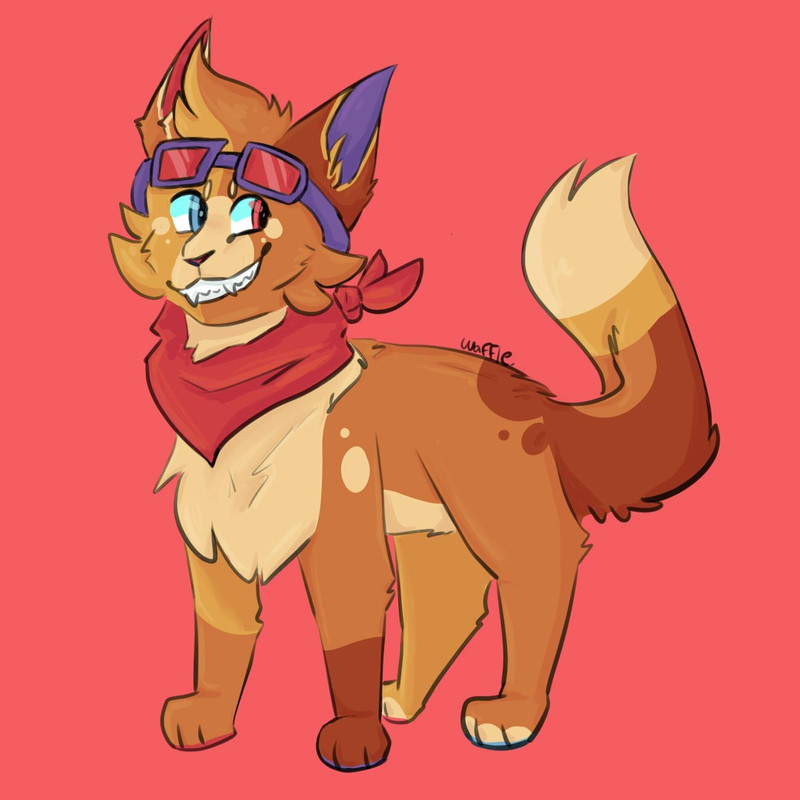 31813556_P59oIqt16cJ0CjX