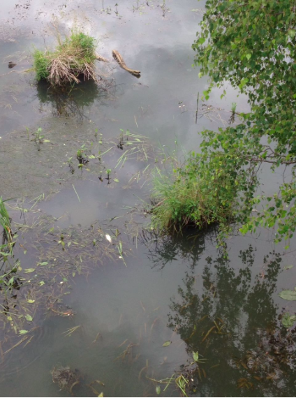 Снимок экрана 2018-07-03 в 17.29.25