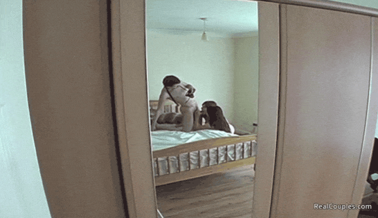 GIF-20240921-192607-095.gif