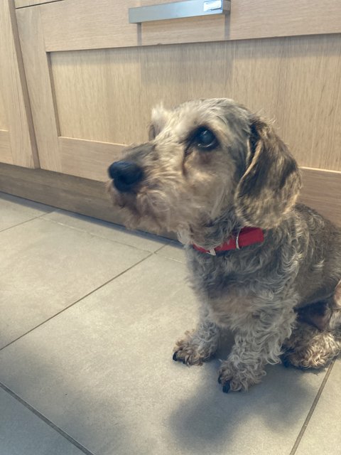 [Image: IMG-5172.jpg]