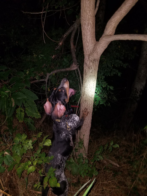 39588932_917258065130384_5175534710935257088_n