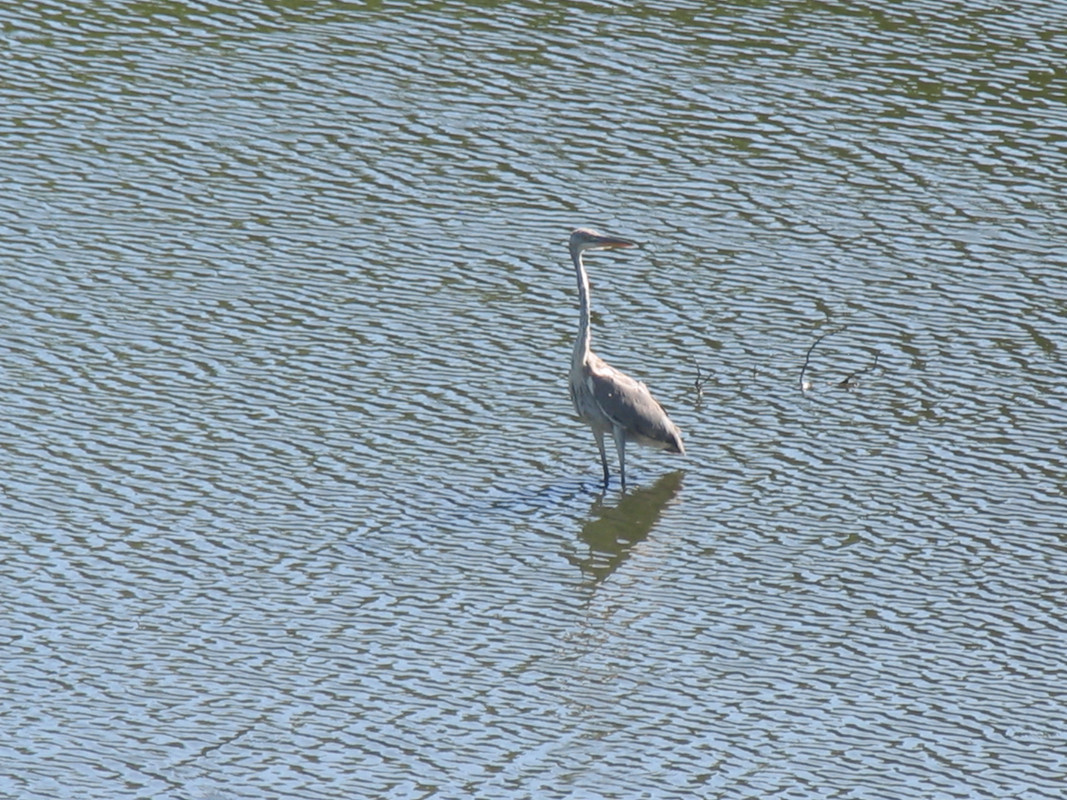 21 Июля 2024 038