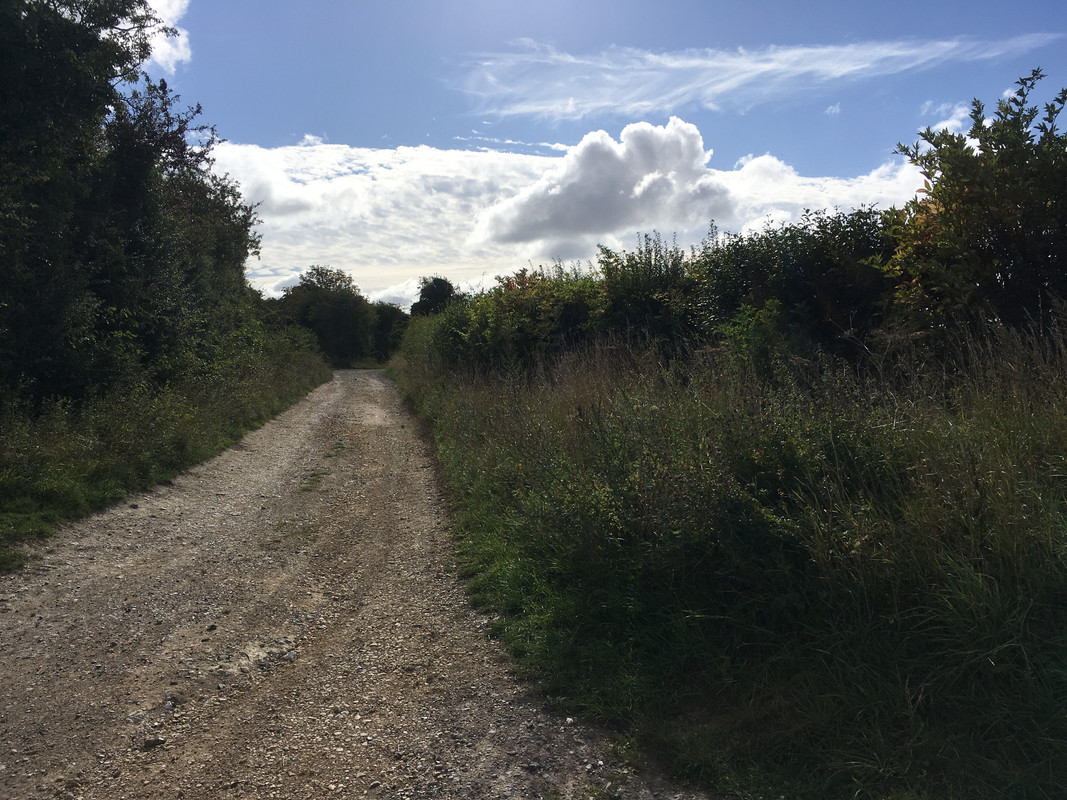 3E6C89DE-042D-4F07-85A9-684B43F2D0B9