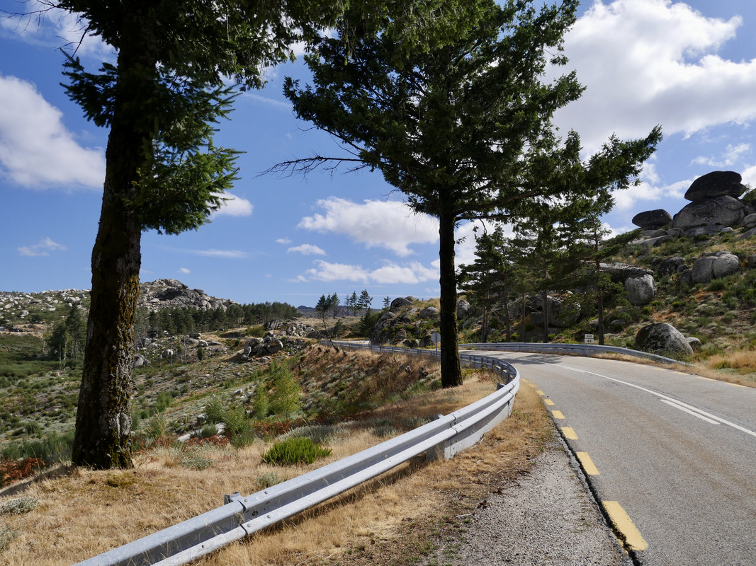 B55DD040-24A5-42C6-886B-EB58746BF8EC