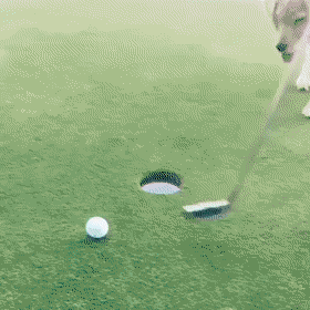 daily-gifdump-3386-16.gif