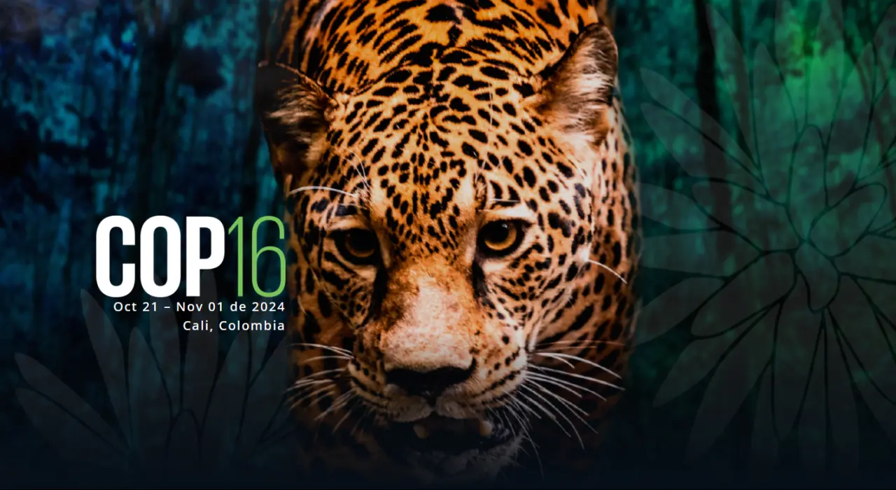 COP 16 Colombia