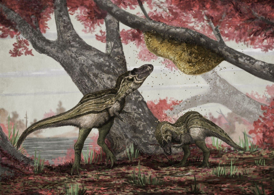 53a8ab63c3f7afcaee885601ee699661