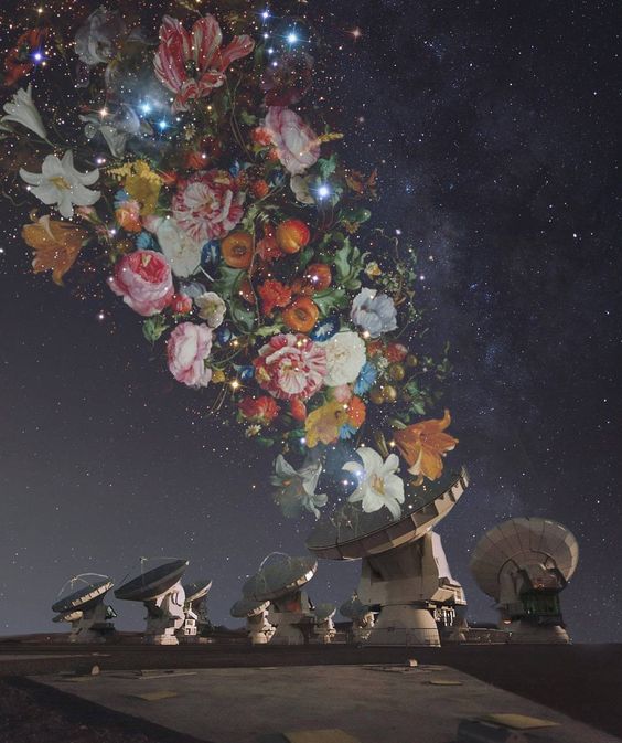 Flowers-For-Heaven