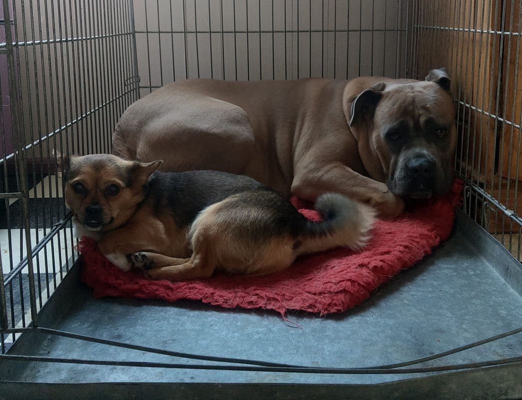 213326561_4124711204272820_3598425858691174333_n