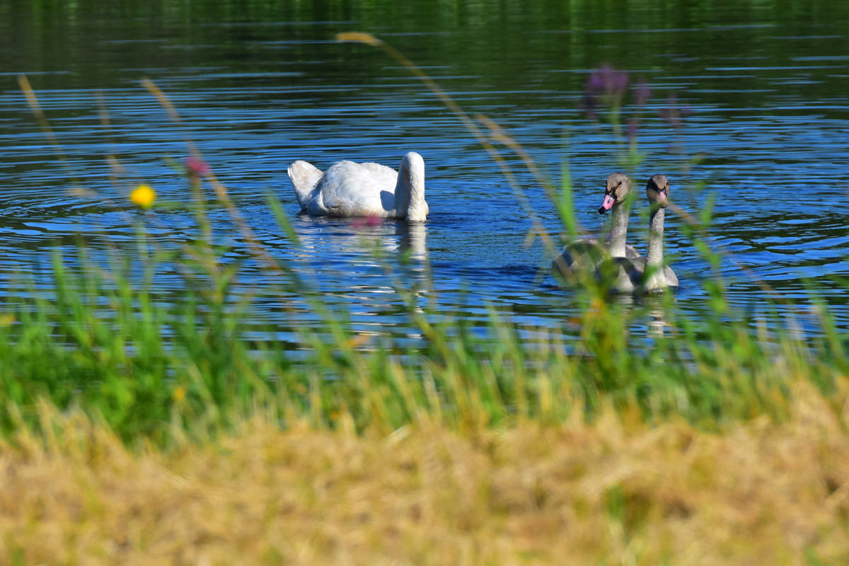 E65473A9-5EF5-4B51-B8AA-D54B74C3C80E