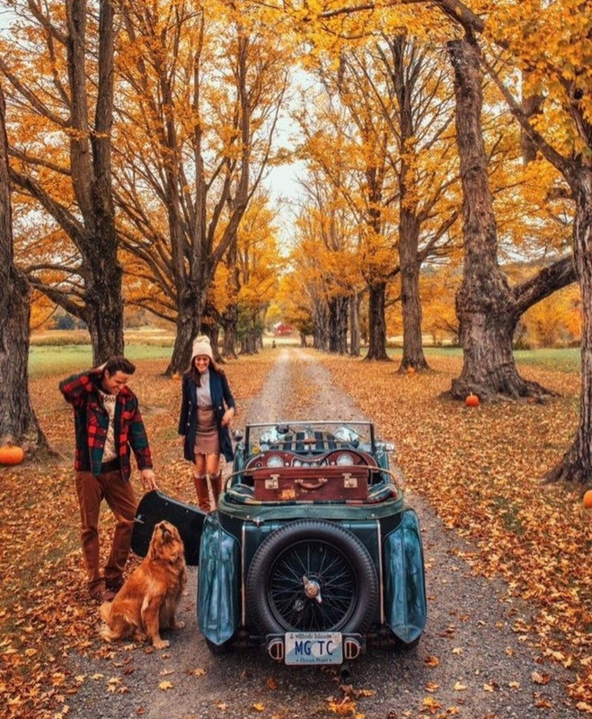 Screenshot_20231207_160502_Instagram