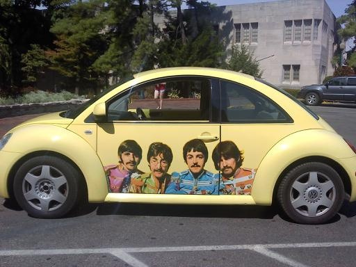 yellow-beatles-on-a-beetle.jpg