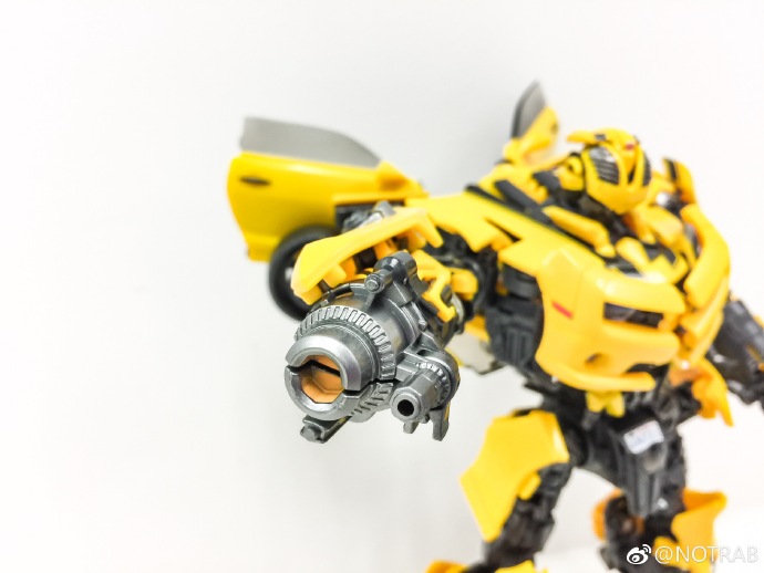 MPM-3-Bumblebee-17