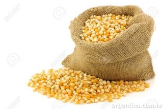 MAIZ PARA GALLINAS  