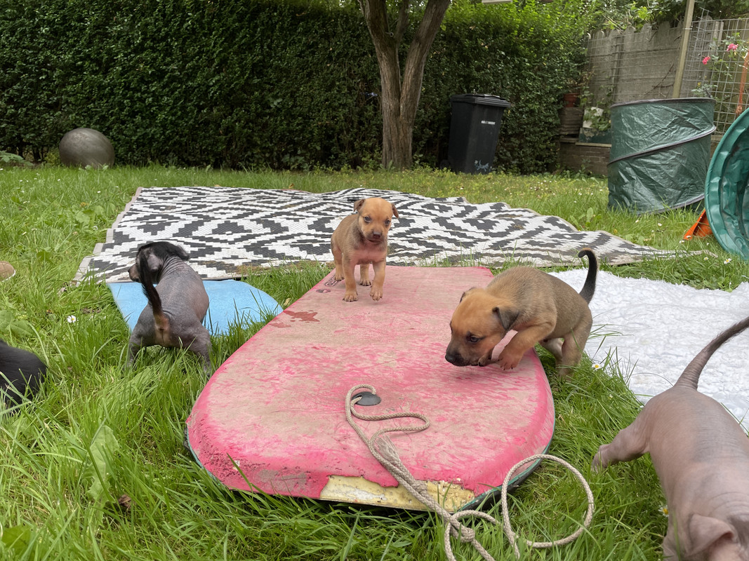 3A512B6A-C76A-4DCB-92BC-FFFBDED7127B