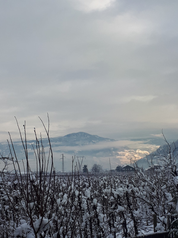 20190202_092636