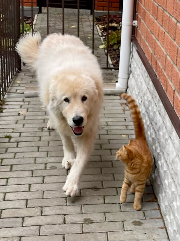 4E710F74-2C7E-4780-AFAC-1F7CE6317B11