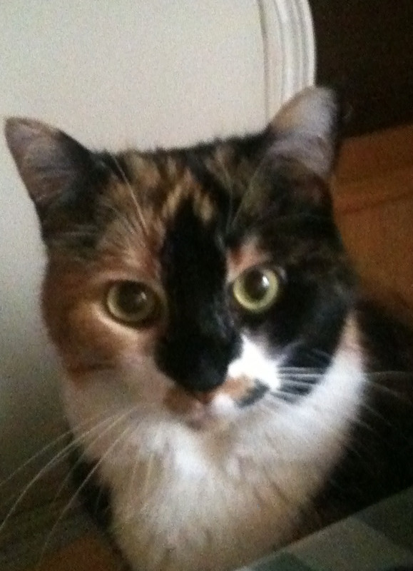 411F9673-137B-4DAB-97BE-33F7930ED81D