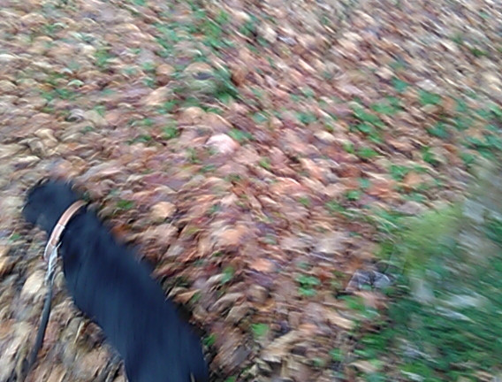 [Image: PANO-20220115-150814.jpg]