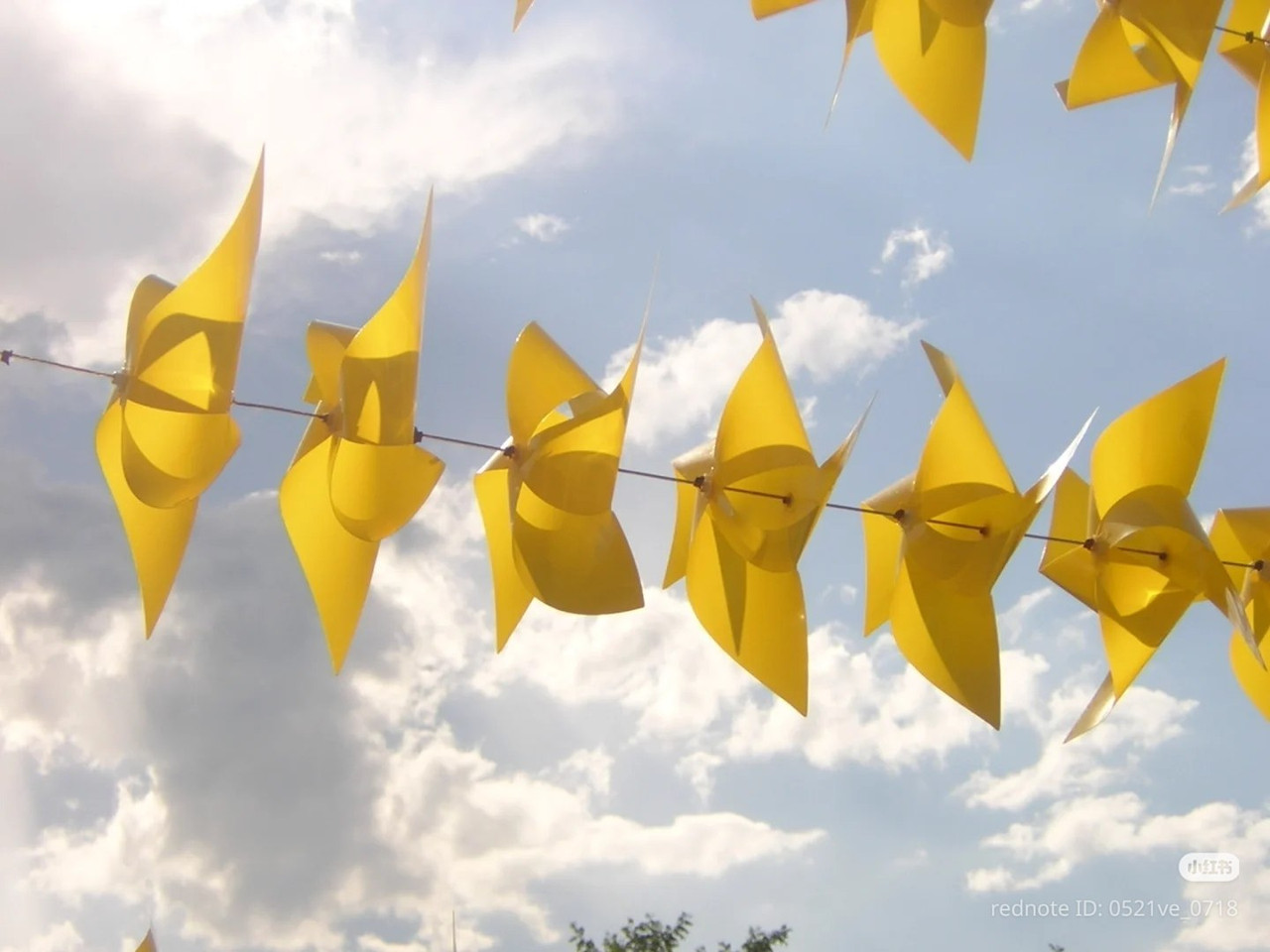 photo 16 2025 12 24 16 22 41