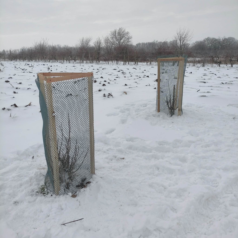 612271375 4177753359063330 7052471698987003081 n