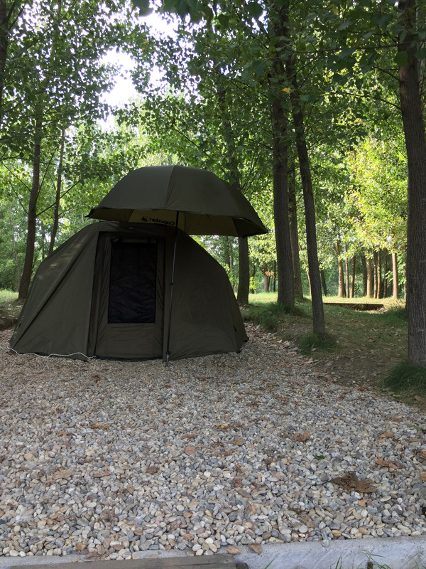 3B3D9121-7F98-41EB-9559-81628EAD6ECE