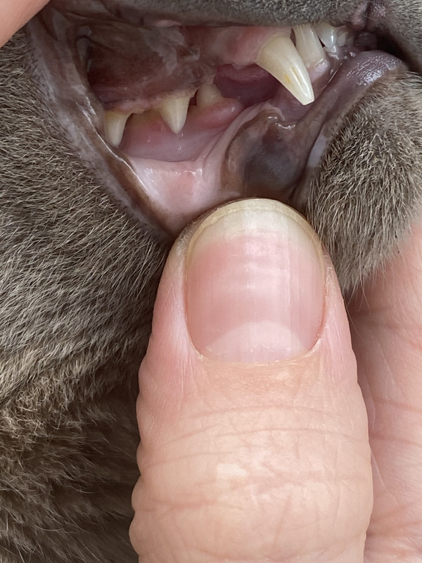 829D3B27-73CB-47E2-B070-BCAFF3679633