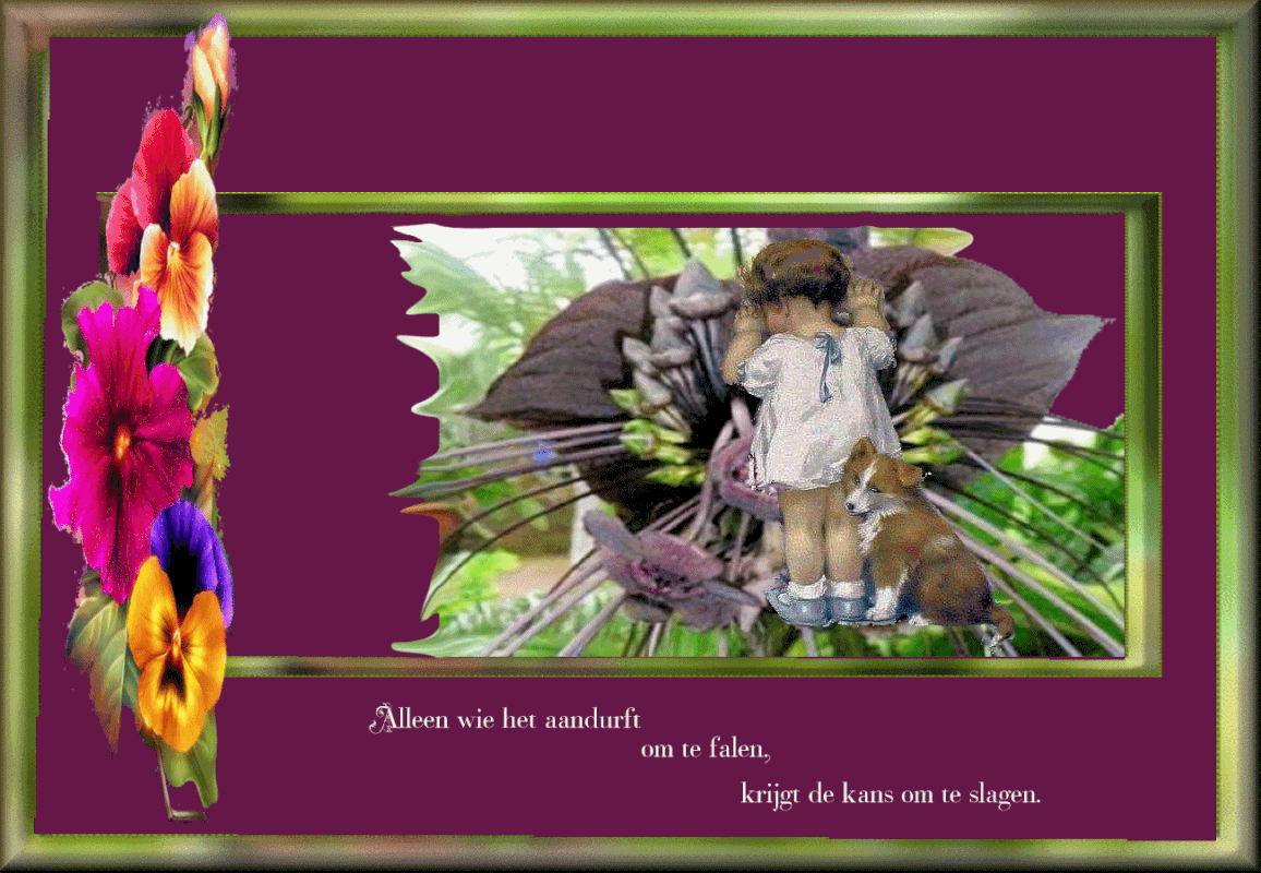 plaatje-15-maart-2021