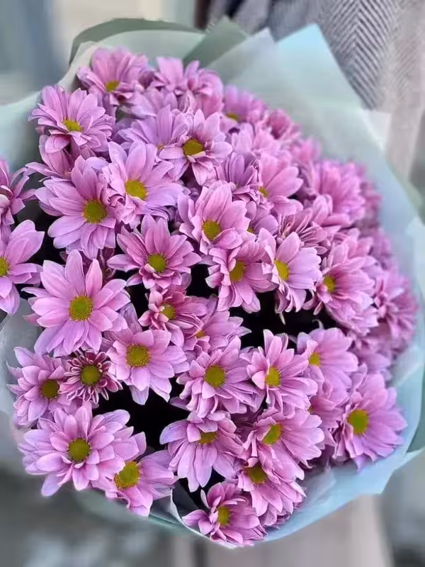 Букет рожевих хризантем (1шт)