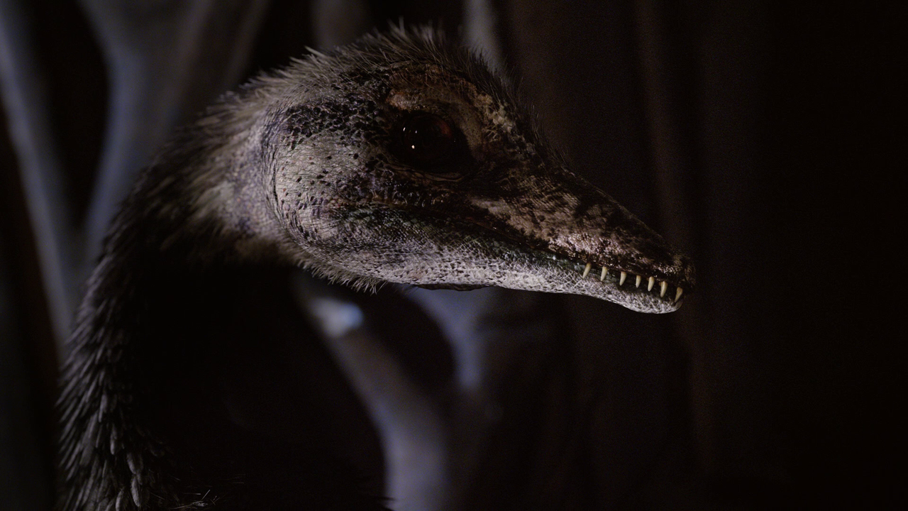 vlcsnap-2024-08-12-20h08m01s105