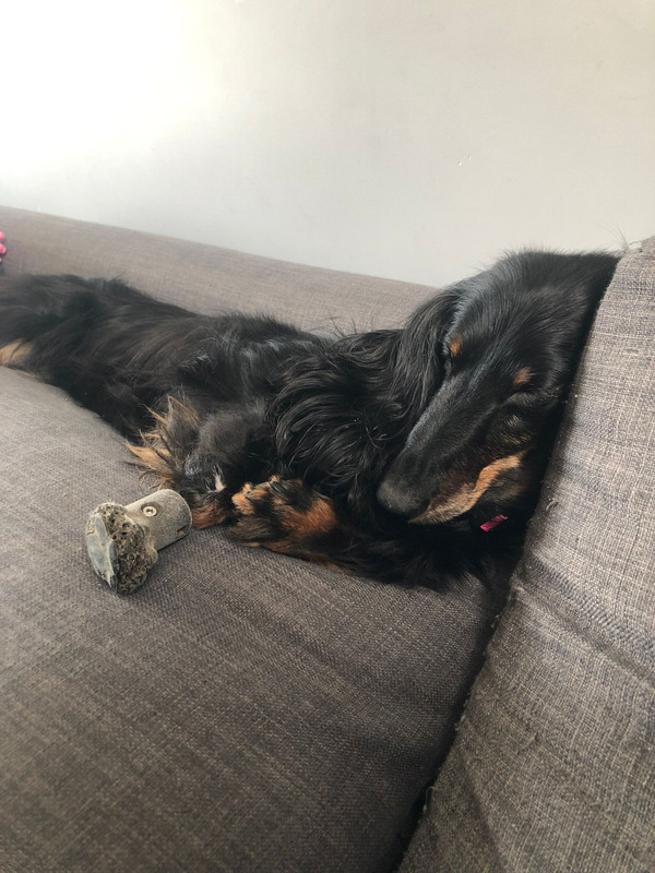 [Image: IMG-20240501-WA0030.jpg]