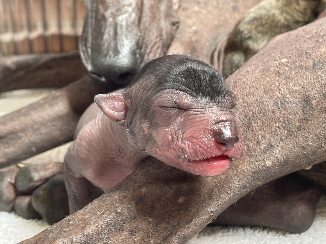 EC036145-DB6B-40C6-AED7-F12EBBBA2B4C