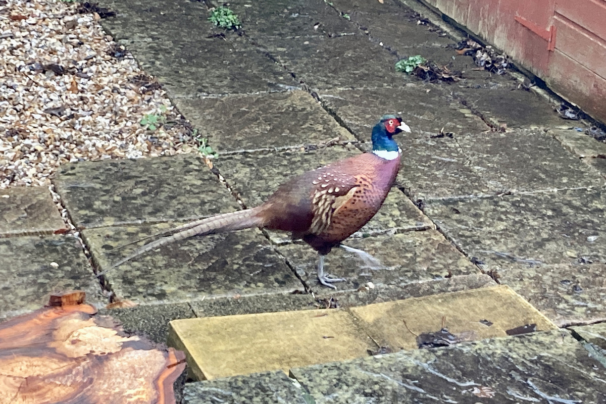 47345EC3-A931-4112-AF9D-82294943BD00