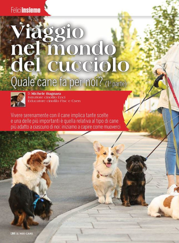 Il M C Apr 2022 (11)