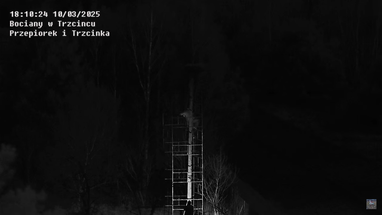 10032025rusztowanie3