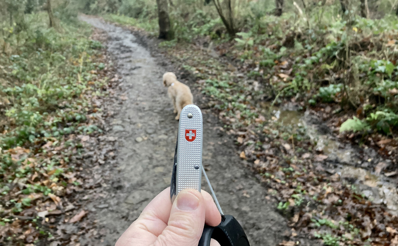 82B22E13-3B2E-415B-81AD-E4F9F4E0D33E