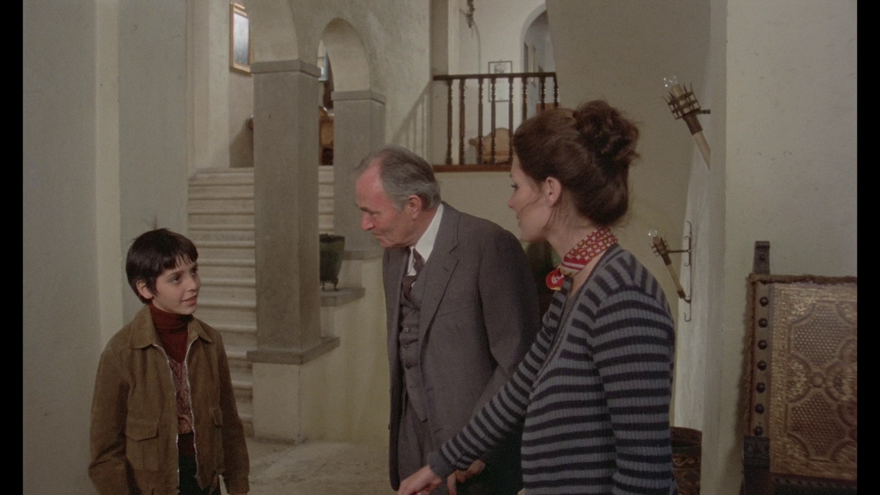 vlcsnap-2023-08-05-15h32m06s278