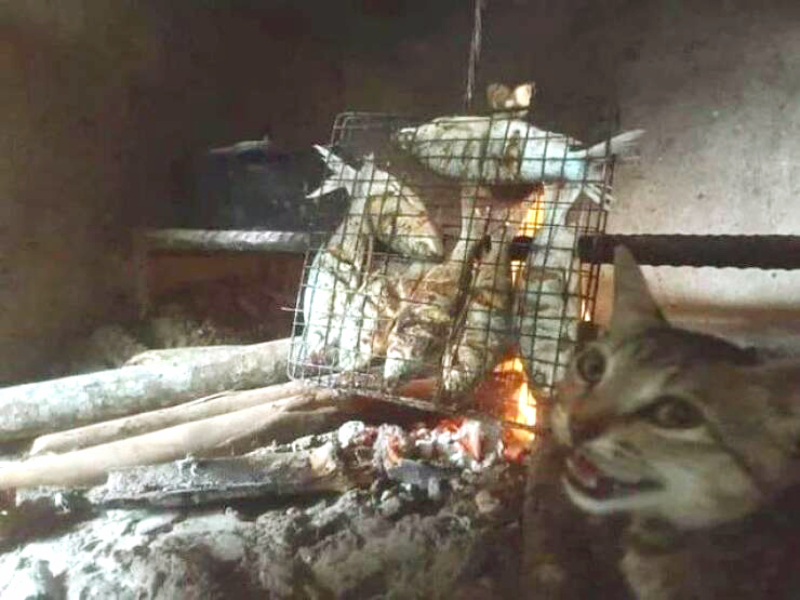 56.jpg