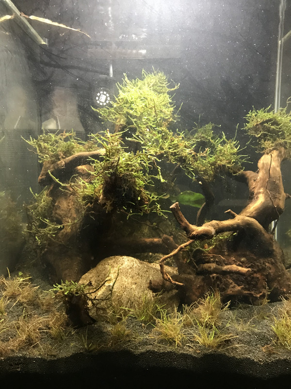 66CC048E-C6D4-4B42-9C17-455C136E41FF