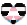 trans ally