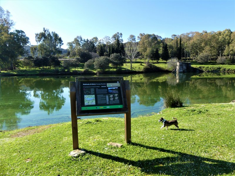 PARQUE NACIONAL DE MONFRAGÜE-2020/2023 - EXTREMADURA Y SUS PUEBLOS -2010-2023 (33)