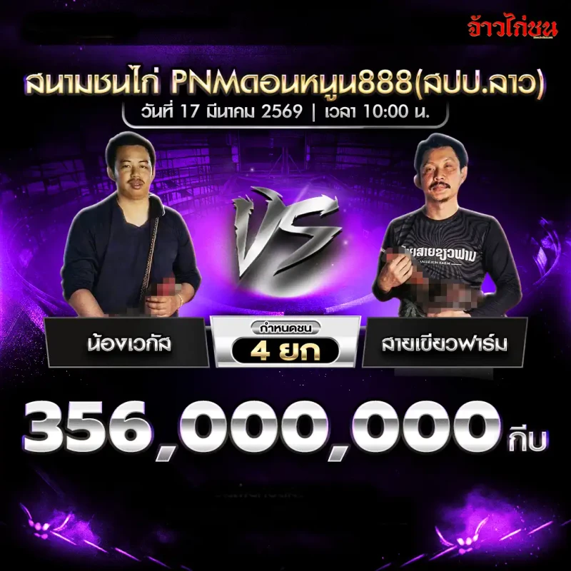 โปรแกรมไก่ชน คู่ น้องเวกัส พบ สายเขียวฟาร์ม วันที่ 17 มีนาคม 2569