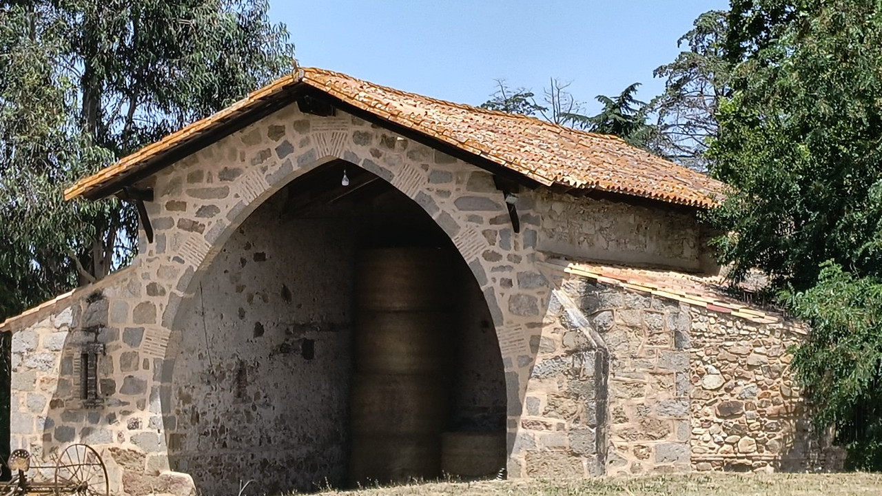 IMG 20260621 131406491 HDR