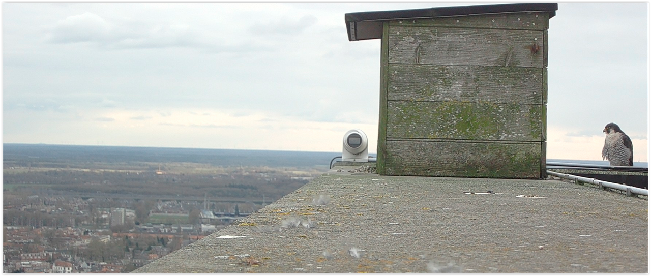 Screen Shot 03-14-25 at 05.14 PM