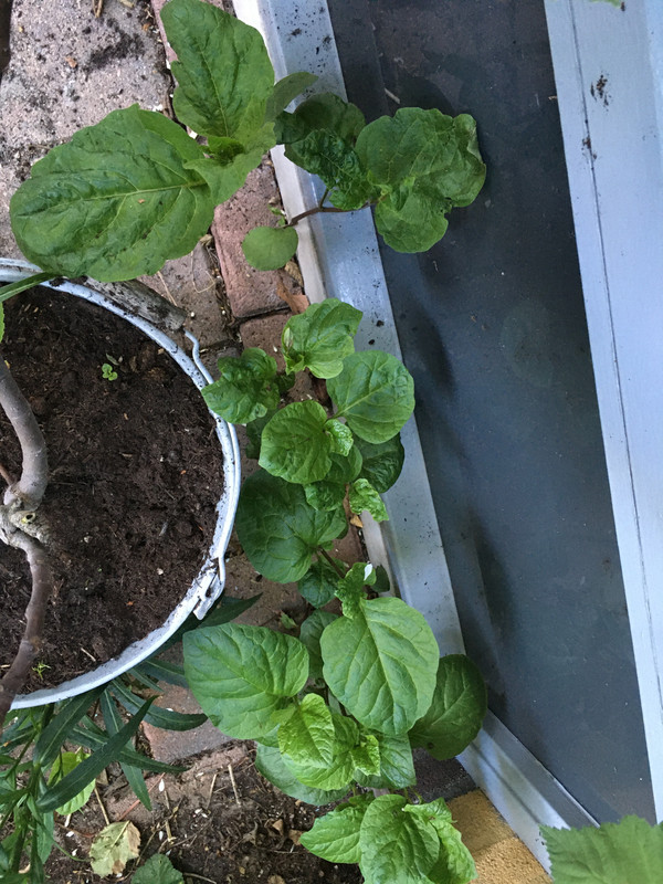 55F8CB8A-519D-4B57-8DBC-C631B430C5D1